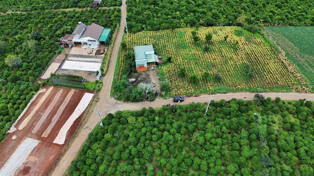 Chỉ còn 2 lô duy nhất khu đinh văn, lâm hà lâm đồng vị trí đẹp khu dân cư đầu tư &