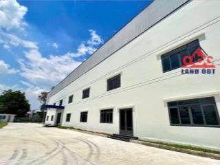 XT519 Nhà Xưởng cho thuê ổn định lâu dài, kết nối nhiều DN FDI, ngành nghề đa dạng
