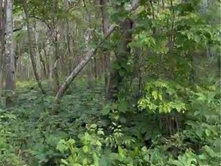 🌟 CHUYỂN NHƯỢNG 160 HECTA ĐẤT DỰ ÁN – HÀM TÂN, BÌNH THUẬN 🌟