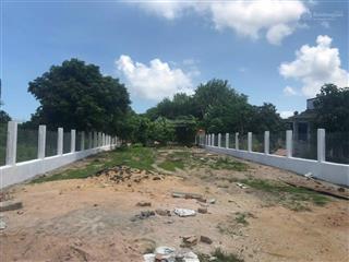 Bán sỉ và lẻ 6 lô đất mặt tiền 300m2. giá 350 triệu. đường nhựa 20m