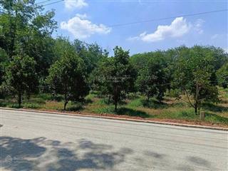 Chính chủ bán 300m2 đất mặt tiền đường 20m. giá 350 triệu.
