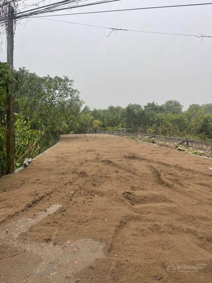 Bán nền biệt thự  dt 805m  mặt tiền quốc lộ80  xã bình thành  huyện lấp vò đồng tháp.