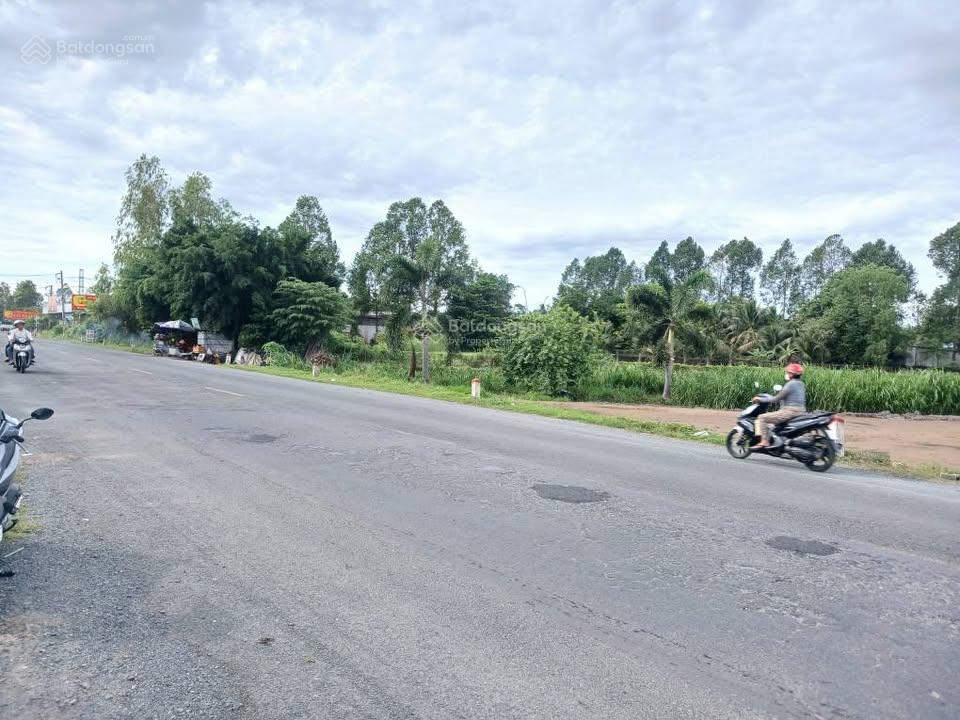 Bán nền biệt thự  dt 805m  mặt tiền quốc lộ80  xã bình thành  huyện lấp vò đồng tháp.