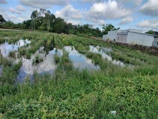 Bán nhanh mảnh đất tcln nằm ngay mặt tiền ql 80 xã bình thành, lấp vò, đồng tháp