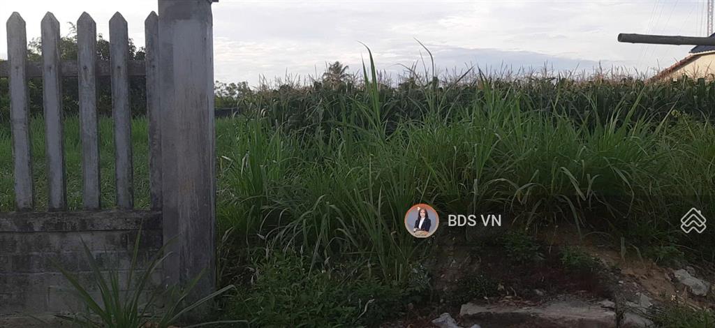 Chính chủ bán đất thổ cư tại xã tịnh châu, quảng ngãi