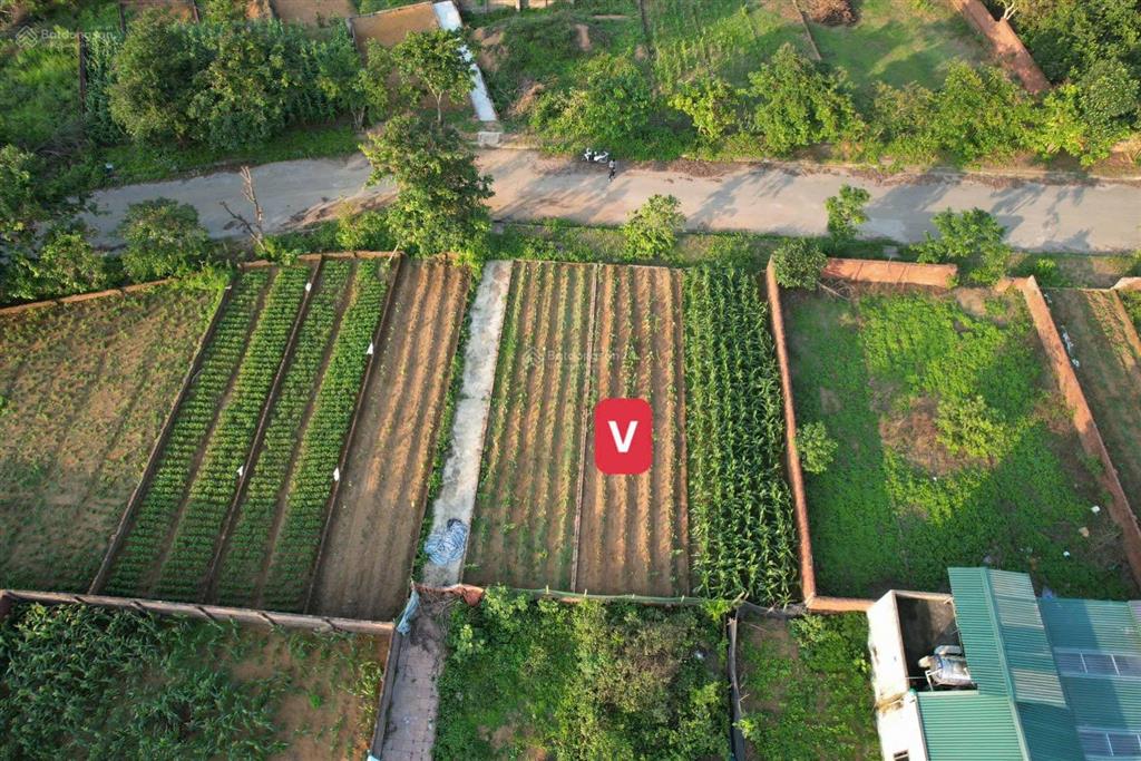 4,x tỷ bán gấp 100m tái định cư vai réo sát vách tổ hợp y tế, công nghệ cao hoà lạc 0985 508 ***