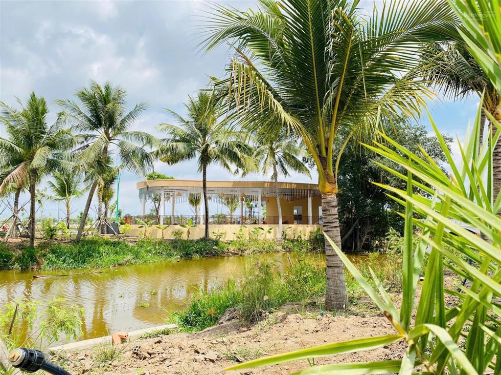 Chỉ từ 19 tr/m2 sở hữu ngay lô đất ở đô thị 7x16, ngay trung tâm hành chính mới thủ thừa, long an