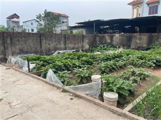 Bán đất Phú Thị – Gia Lâm, 64m², ô tô vào đất, giá chỉ 60 triệu/m²