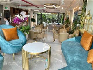 Tòa nhà mt cách mạng tháng tám, tân bình 8,4x21 176,4m2 hầm 5 tầng giá 58 tỷ