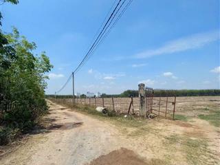 Tôi chính chủ cần bán hơn 4,3 mẫu đất cây lâu năm tại xã thành long châu thành tây ninh giá 5,5 tỷ