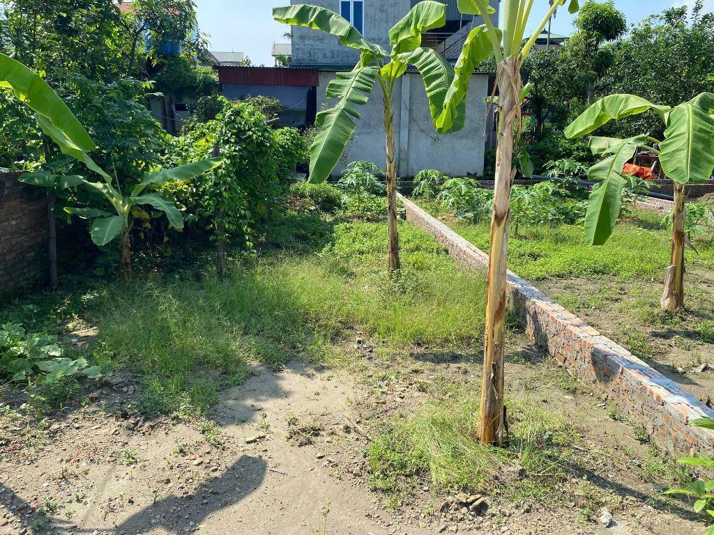 Bán mảnh đất 71m² tại thuận thành bắc ninh,ngõ kia moning