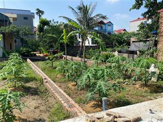 Bán mảnh đất 71m² tại thuận thành bắc ninh,ngõ kia moning