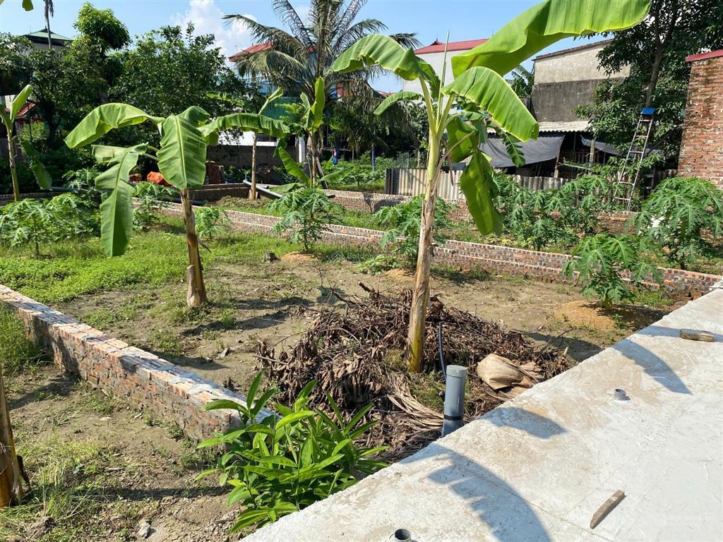Bán ô đất tại xuân lai, gia bình ,bắc ninh ngõ ô tô
