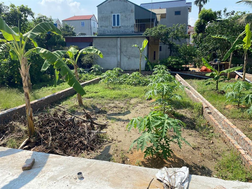 Bán ô đất tại xuân lai, gia bình ,bắc ninh ngõ ô tô