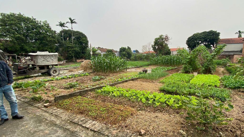 CẦN BÁN MẢNH ĐẤT TẠI XÃ TRUNG CHÍNH ,LƯƠNG TÀI ,BẮC NINH