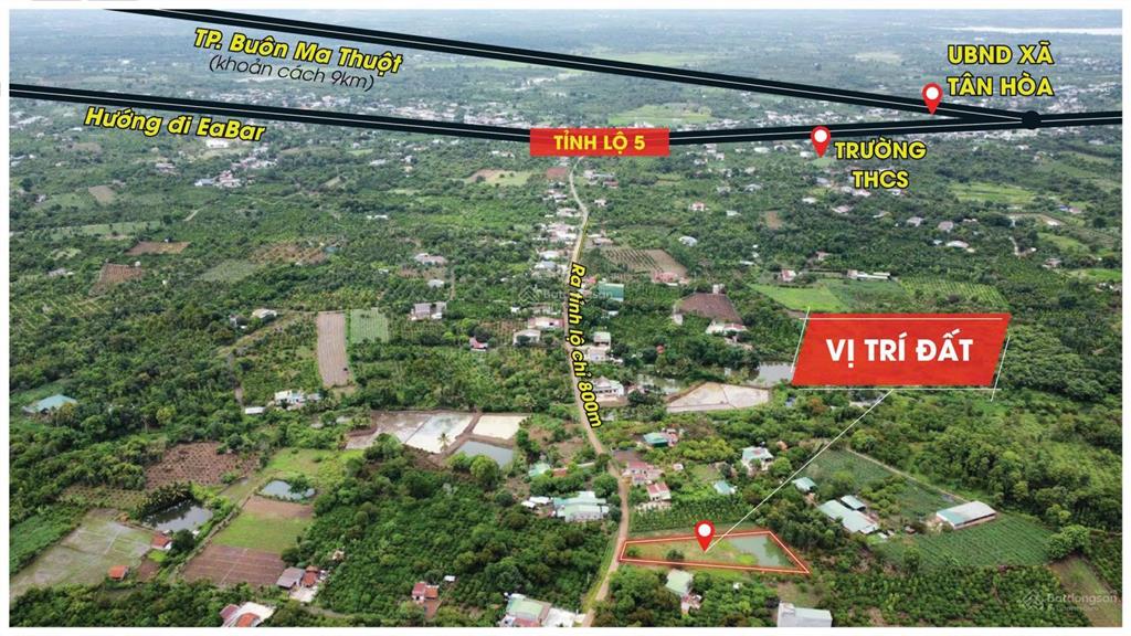 Bán đất tại tân hòa, buôn đôn, đắk lắk, 786 triệu, 1812m2, giá siêu hời