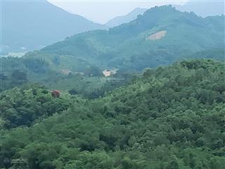 Bán đất đẹp 2,8 ha tại tây phong, cao phong, gần quốc lộ 6, chỉ 600tr/ha