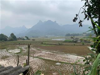Bán đất tại mỹ hoà, tân lạc, hòa bình, 7451 m2, 400m2 thổ cư, hàng hiếm chỉ 3,5 tỷ.  0888 395 ***