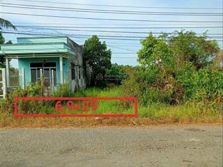 Đất mt đinh viết cừu, xã bình tâm tp tân an, long an