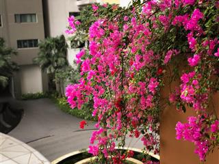 Hàng độc chào bán căn hộ 187m2 duplex đẹp lung linh tại tòa c chung cư mulberry lane tìm chủ mới