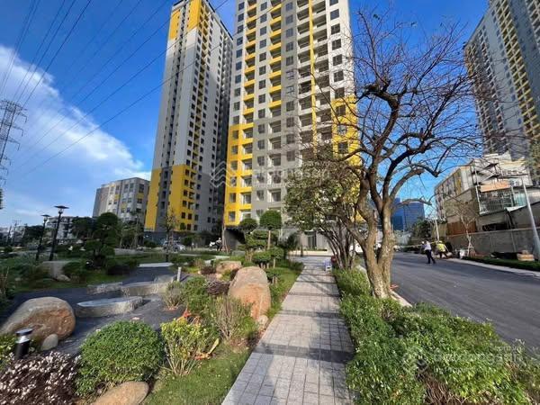 Giá thật chốt ngay, bán căn hộ 2pn2wc bcons plaza mặt tiền đường thống nhất, bank cho vay 70  80%