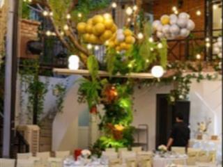 Bán nhà! chính chủ mặt tiền thục địa chỉ 309 bis huỳnh văn bánh, phường phú nhuận, tphcm