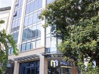 Cho thuê văn phòng khu sân bay dt 50m2,80m2,100m2,180m2300m2 bàn giao sàn nội thất hoặc sàn trống