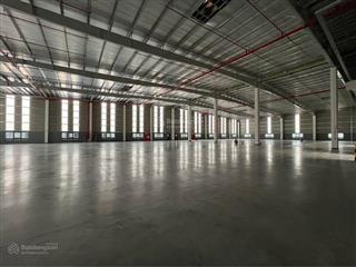 Nhà xưởng mới xây dựng 12000m2 cần cho thuê trong kcn thuận thành, pccc tiêu chuẩn, miễn giảm thuế