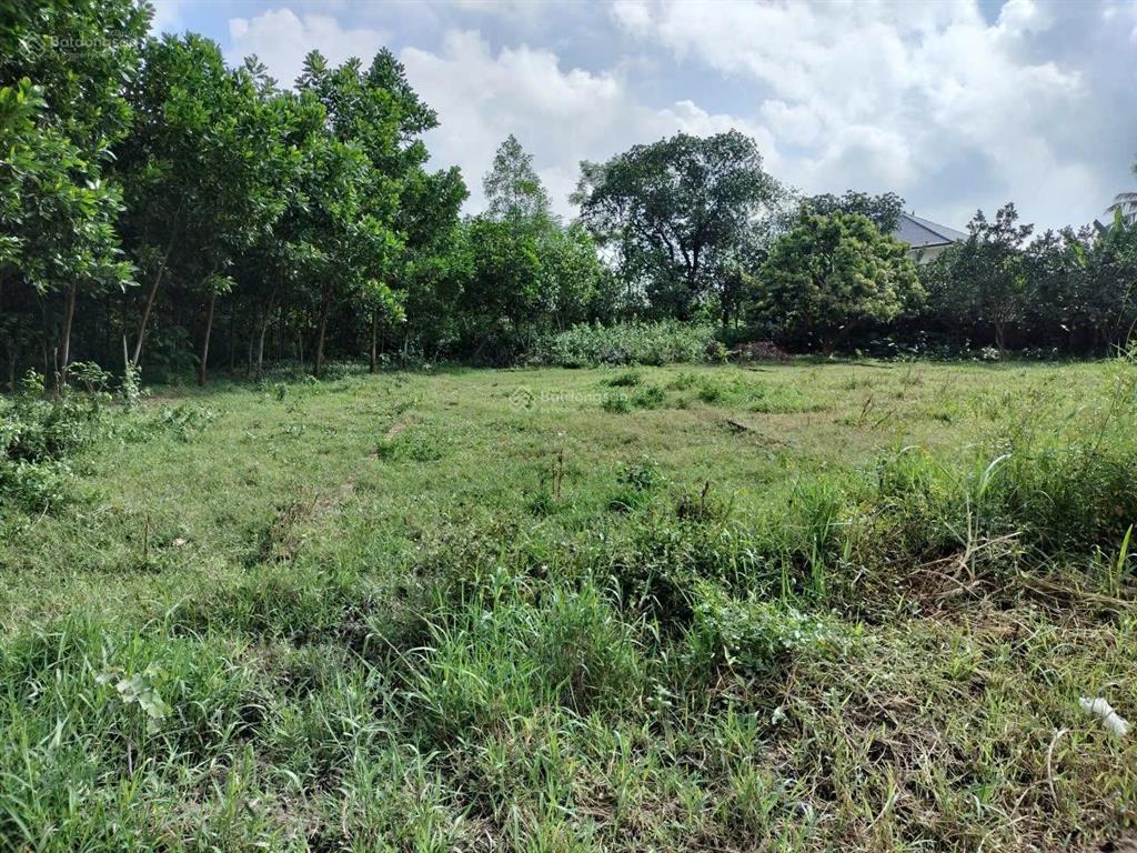 Bán gấp lô đất xóm chùa thành công .mặt tiền dt 5x26 130m2 view đẹp . khu dân cư yên tĩnh mát mẻ