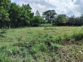 Bán gấp lô đất xóm chùa thành công .mặt tiền dt 5x26 130m2 view đẹp . khu dân cư yên tĩnh mát mẻ
