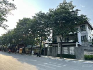 Bán biệt thự phân lô ngõ 234 hoàng quốc việt, 202m², 5 tầng, mặt tiền 10m, 45 tỷ tl