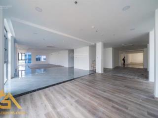 Cho thuê văn phòng 45 triệu, 270m2 tại nguyễn văn thủ, đa kao, q1, hcm  hot