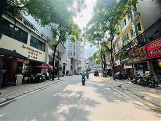 Mặt phố phan kế bính, liễu giai dt 74m2, 5 tầng mt 8.1m, giá 50 tỷ, kd nhà hàng ccmn