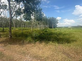 Bán đất tại long vĩnh, châu thành, tây ninh, giá tốt đầu tư, 545m2, quy hoạch khu dân cư, gần tt