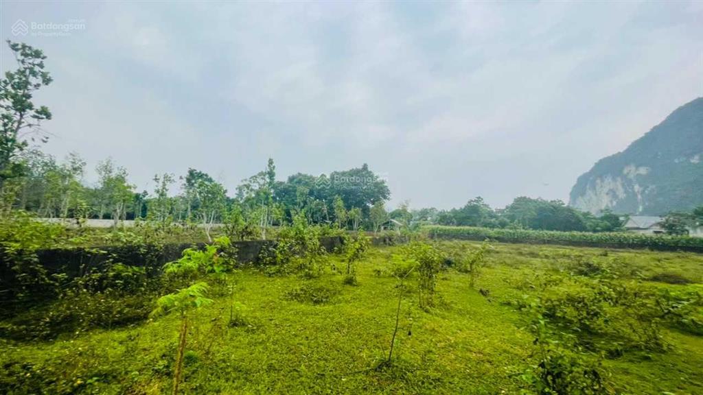 Chính chủ bán có 2844m2/800m2 thổ cư siêu phẩm đất bám sông bôi view đẹp