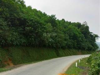 Cần bán 2,7ha mặt đường kim bôi, hòa bình