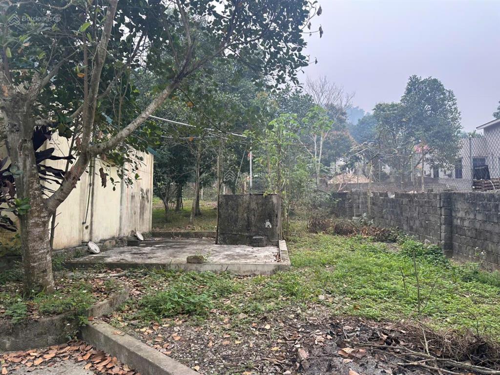 Đất săn hàng hiếm 2300m² lưng tựa núi, view sân golf giá rẻ không tưởng