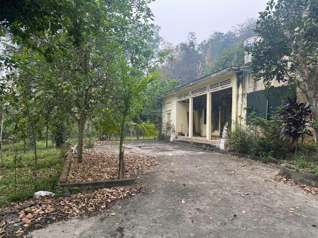 Đất săn hàng hiếm 2300m² lưng tựa núi, view sân golf giá rẻ không tưởng