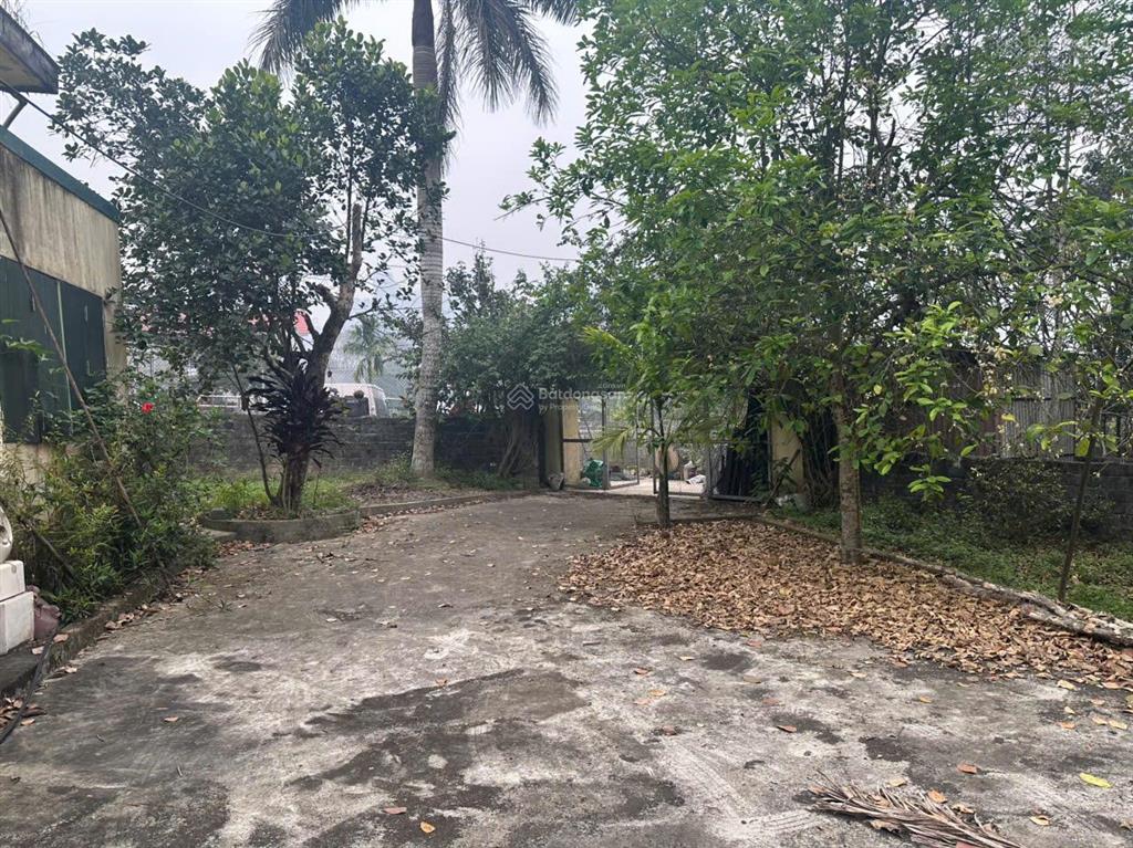 Đất săn hàng hiếm 2300m² lưng tựa núi, view sân golf giá rẻ không tưởng