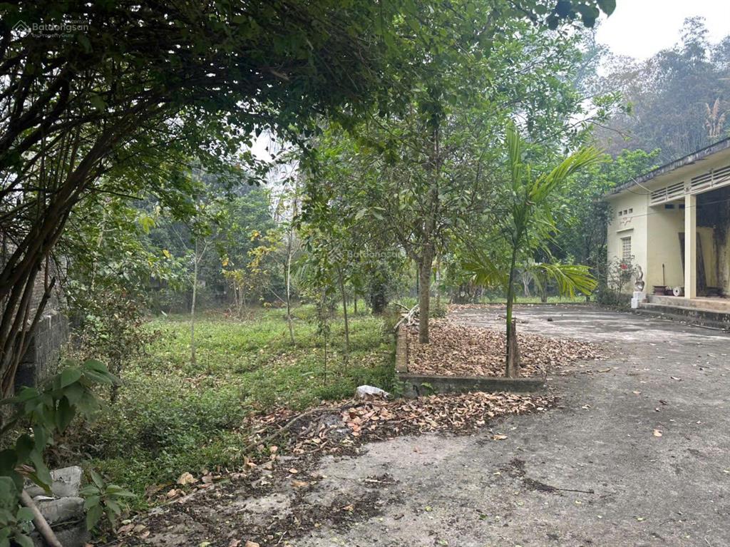 Đất săn hàng hiếm 2300m² lưng tựa núi, view sân golf giá rẻ không tưởng
