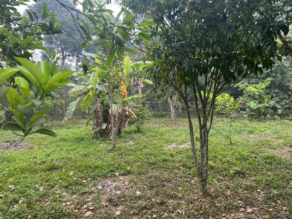Đất săn hàng hiếm 2300m² lưng tựa núi, view sân golf giá rẻ không tưởng