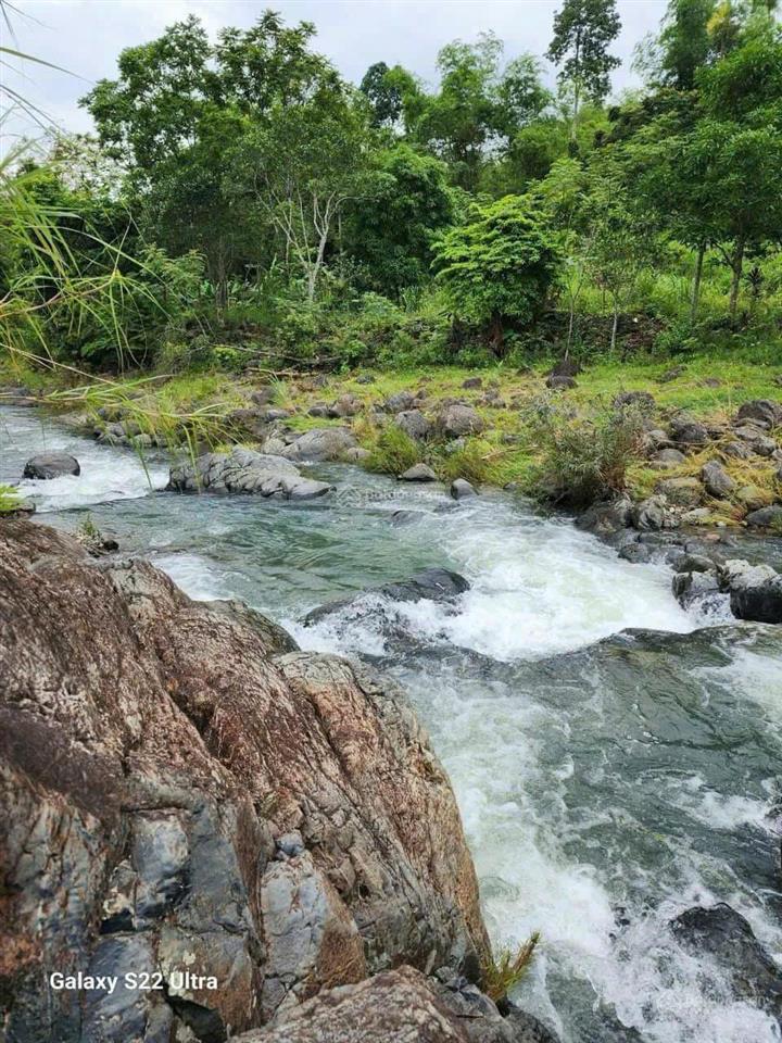 Cần bán 6271m2 (có 4470m2 đất trồng cln, 332m2 đất ở, 1469m2 đất luk) tại kim bôi, hòa bình