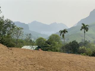Tổng diện tích 2009m2 đất ở 234,5m2 xã kim lập, kim bôi, hòa bình