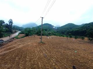 Cần bán 2275m2 có 140m2 ont tại hang lờm, bình sơn, kim bôi, hòa bình