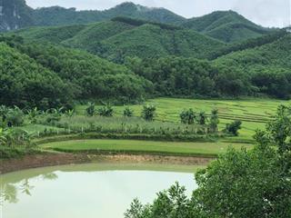 Chính chủ em bán 5000m2 đất view hồ, cánh đồng lúa xanh ngát tại đú sáng kim bôi, hòa bình