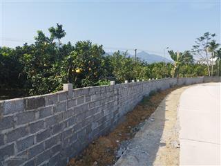 Cần bán 923m2 full thổ cư tại đông bắc, kim bôi, hòa bình