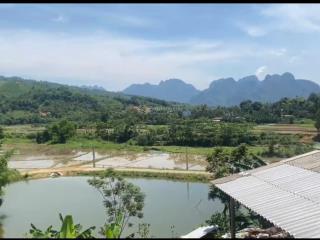 Diện tích 1.400m² (1.000m² thổ cư, còn lại là đất trồng cln) tại kim bôi, hòa bình