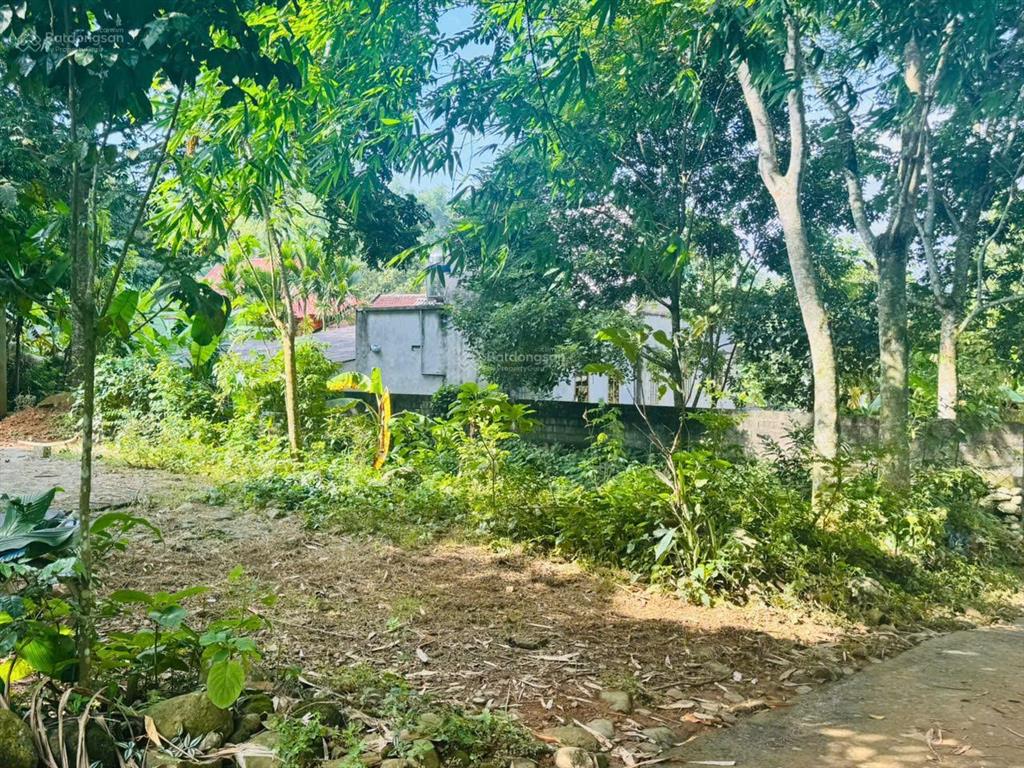 Cần bán 1160m2 có 400m2 thổ cư tại vĩnh tiến, kim bôi, hòa bình