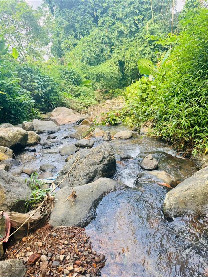 Cần bán 1160m2 có 400m2 thổ cư tại vĩnh tiến, kim bôi, hòa bình