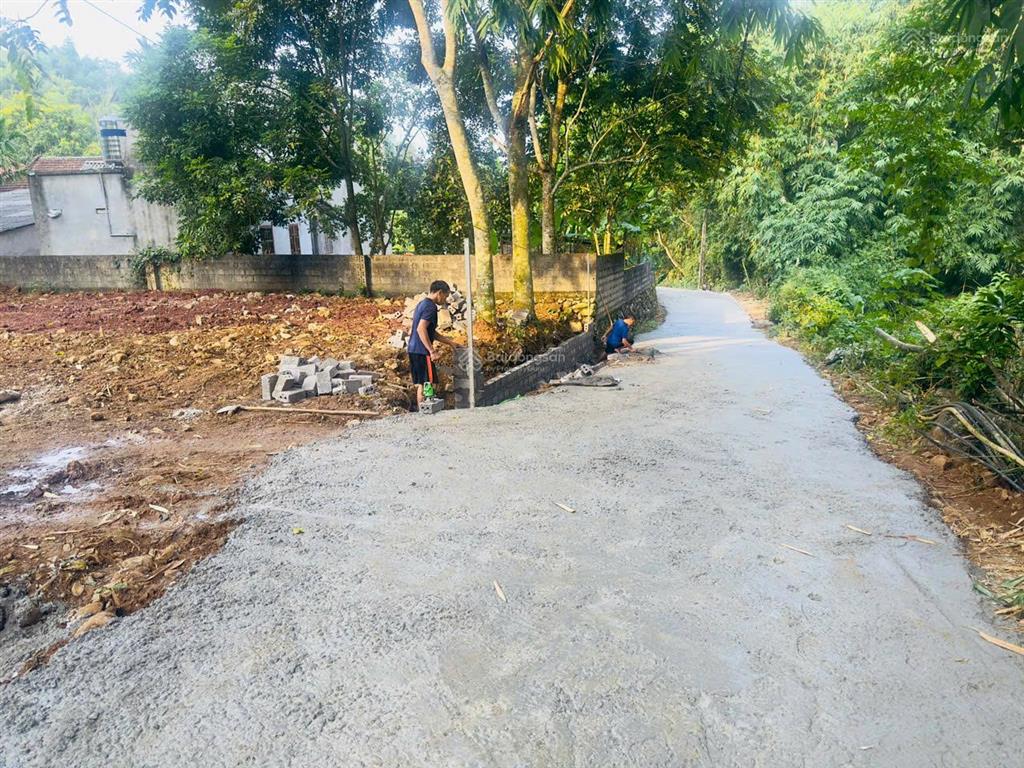 Tổng diện tích 1.160m² 400m² đất ở (thổ cư) xã vĩnh tiến, huyện kim bôi, tỉnh phú thọ